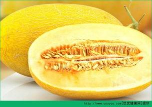 哈密瓜几月份吃合适,哈密瓜最佳食用月份大盘点